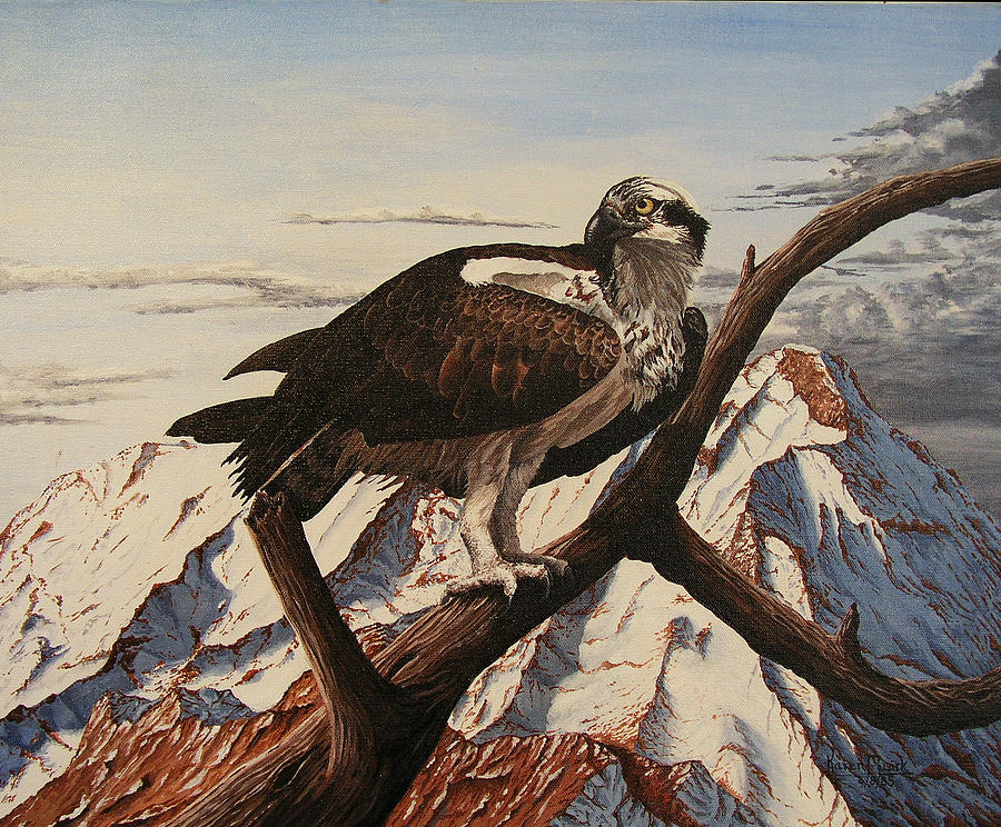 Bird Painting - Osprey Lost by Karen Musick