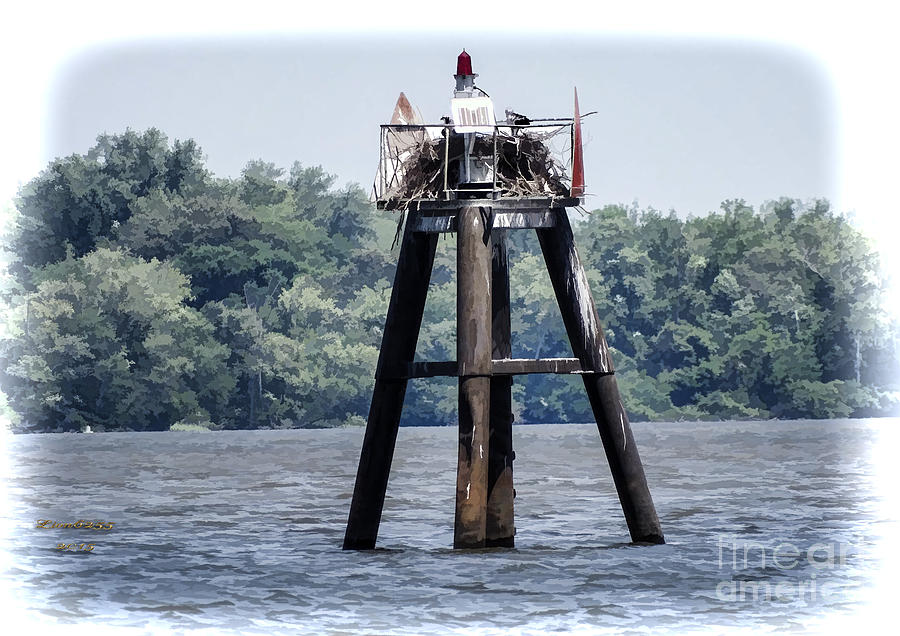 Osprey On The Appomattox River Photograph by Melissa Messick