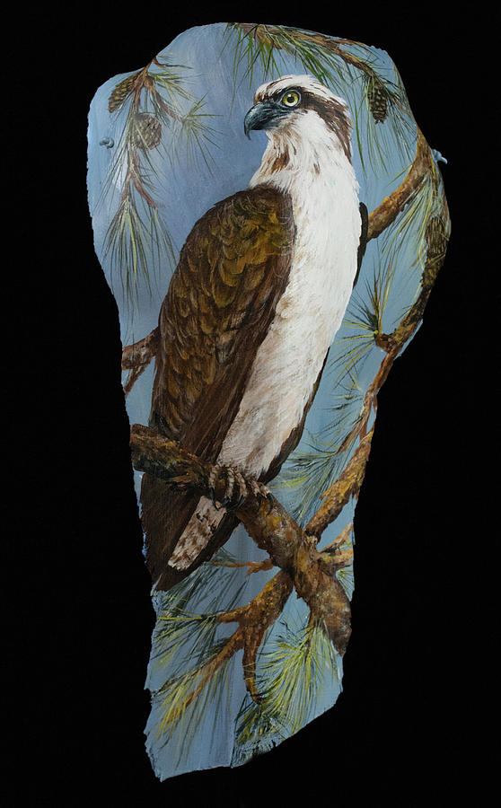 Osprey On Watch Painting by Nancy Lauby