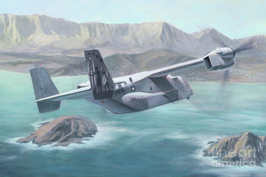 Osprey Over the Mokes Painting by Stephen Roberson