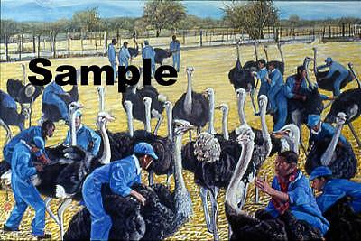 Black Birds Painting - Ostrich Farm by Komi Chen Black Birds Painting - Ostrich Farm by Komi Chen