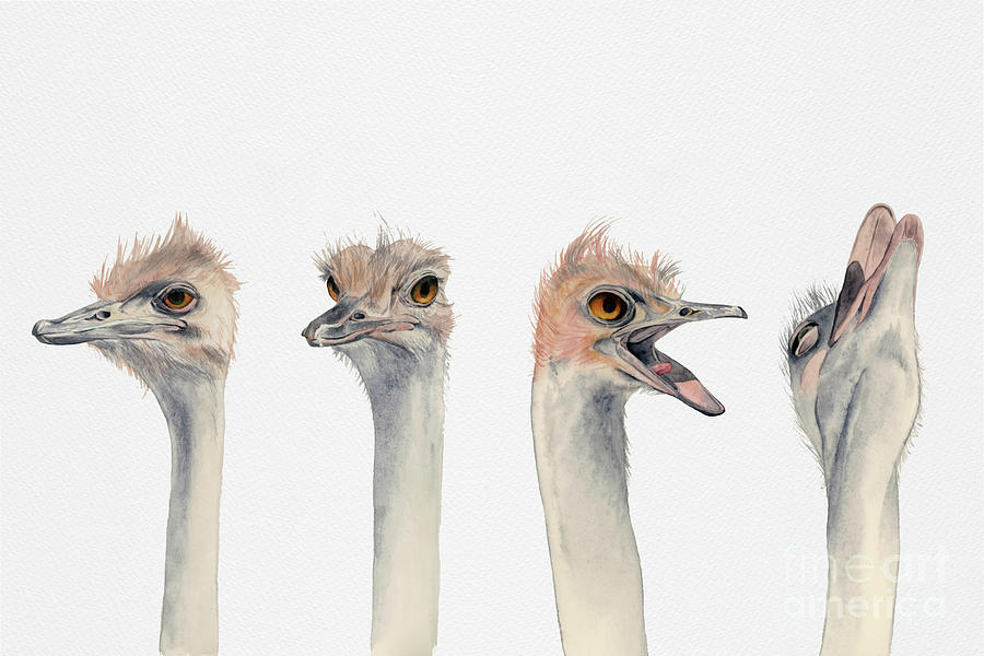 Drama Queen - Ostrich Painting Painting by Chiho Watanabe