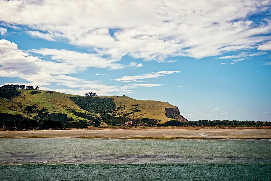 Otago Peninsula Photograph by Catherine Reading