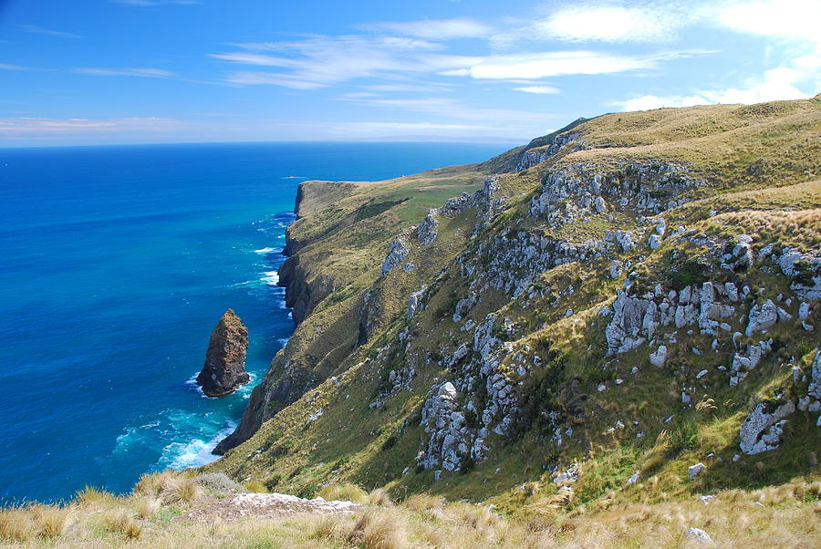 Otago Peninsula Coastline Photograph by Cascade Colors