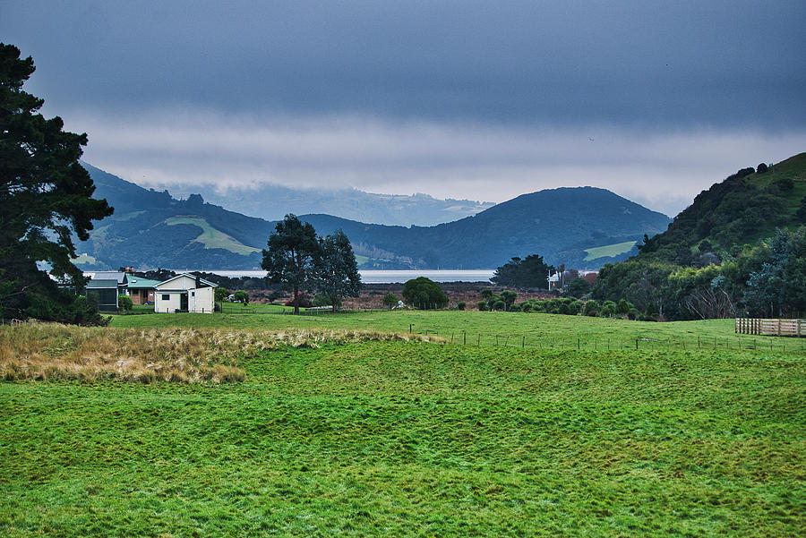 Otago Peninsula I - New Zealand Photograph by Steven Ralser