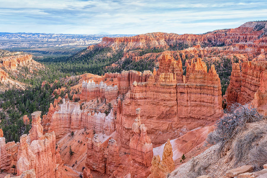 Otherworldly Bryce Photograph by John M Bailey