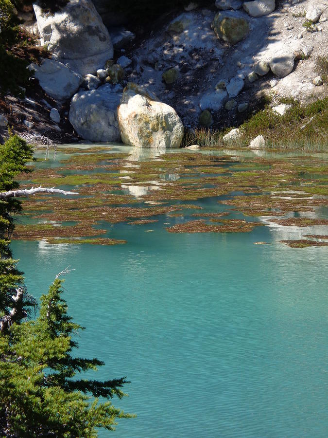 My Girlfriend From Turquoise Pond Otherworldly Turquoise Pond Photograph by Kristina Lammers - Fine Art