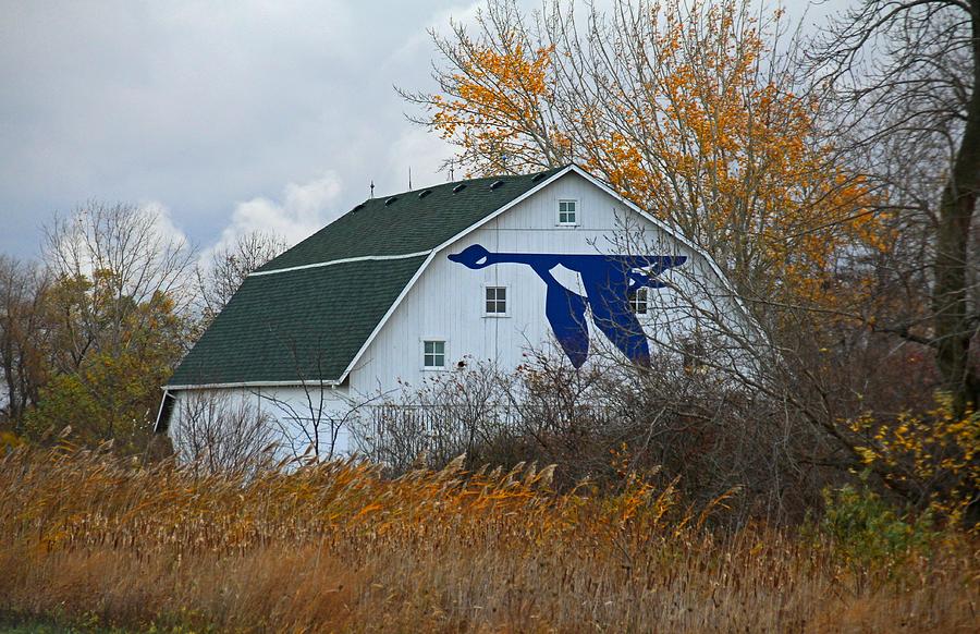 Ottawa National Wildlife Refuge I Photograph by Michiale Schneider