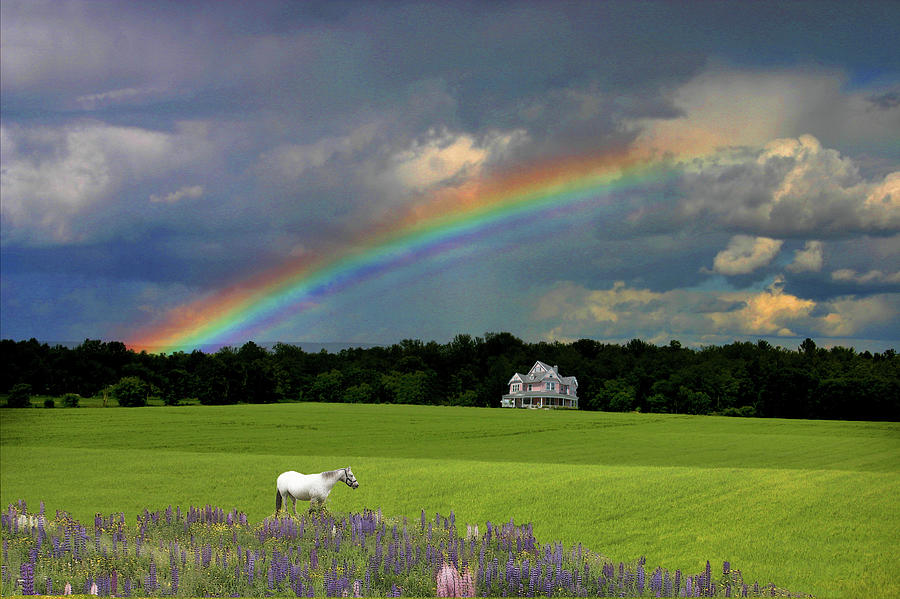 Ottawa Rainbow Mindscape Photograph by Wayne King