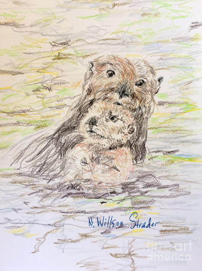 Otter Drawing - Otter and Baby by N Willson-Strader