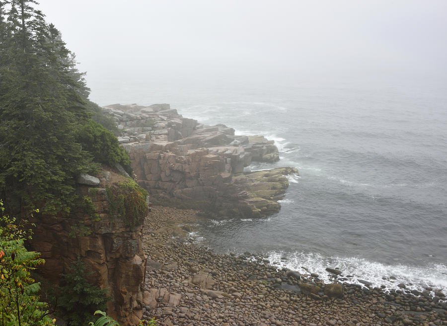 Otter Cliffs - Acadia National Park Maine Photograph by Brendan Reals