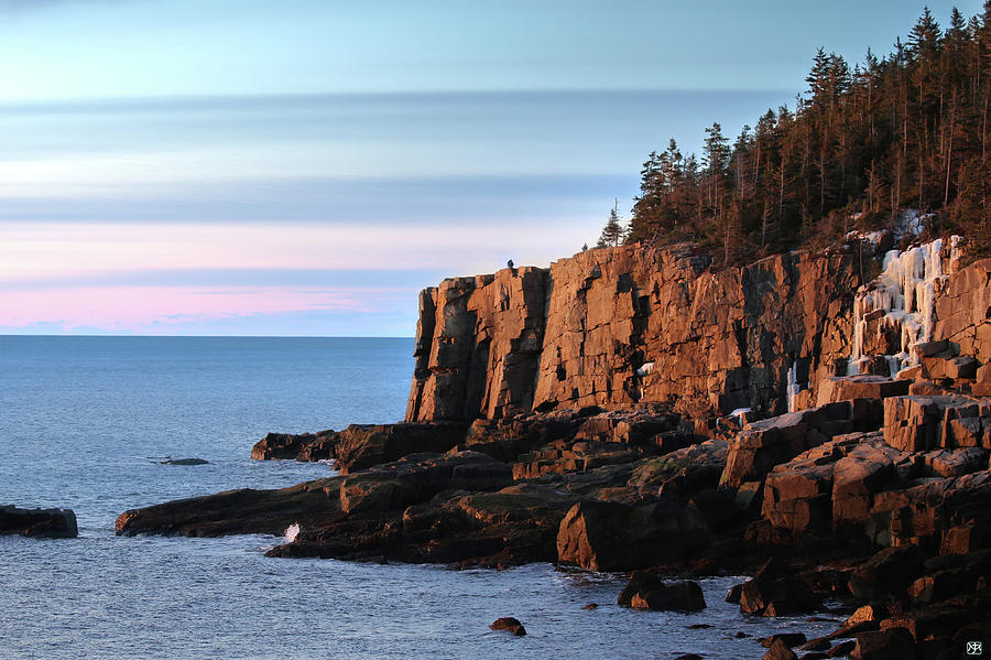 Otter Cliffs at Sunrise Photograph by John Meader