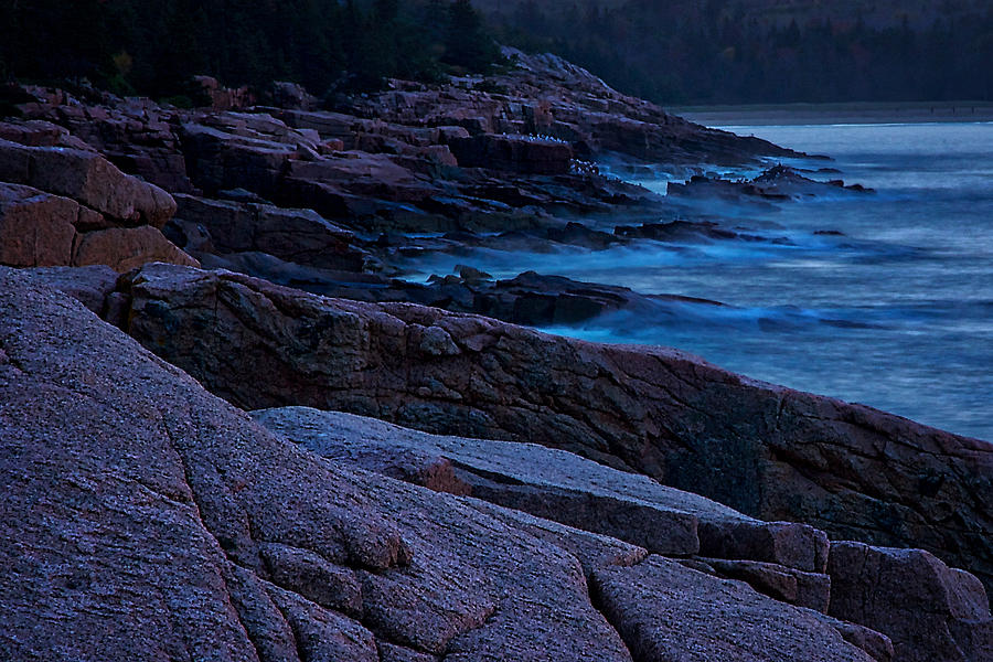 Otter Cliffs Dawn #3 Photograph by Stuart Litoff