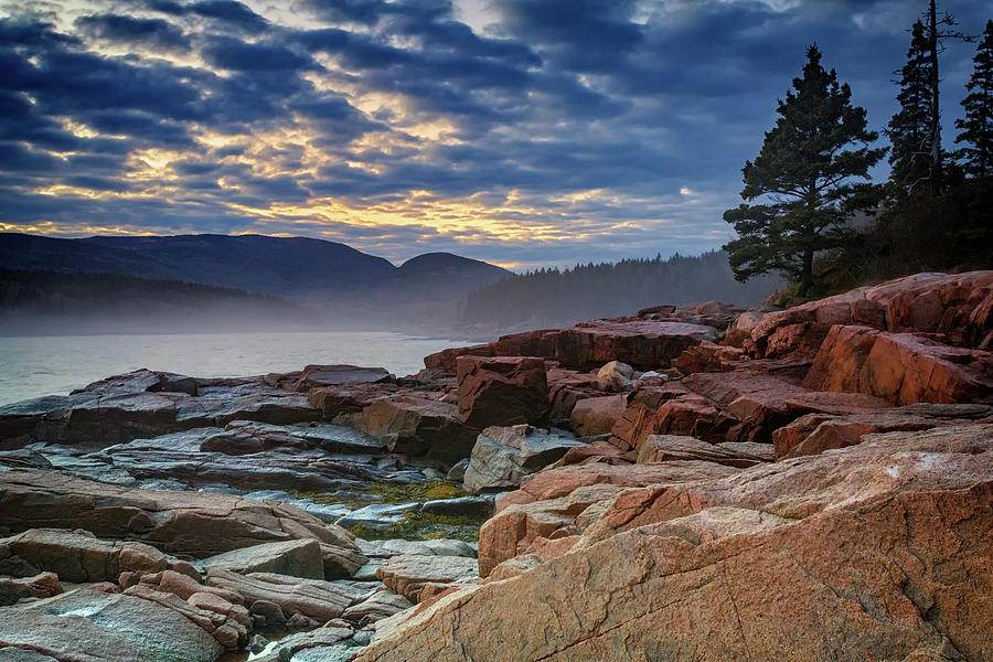 Acadia National Park Photograph - Otter Cove in the Mist by Rick Berk