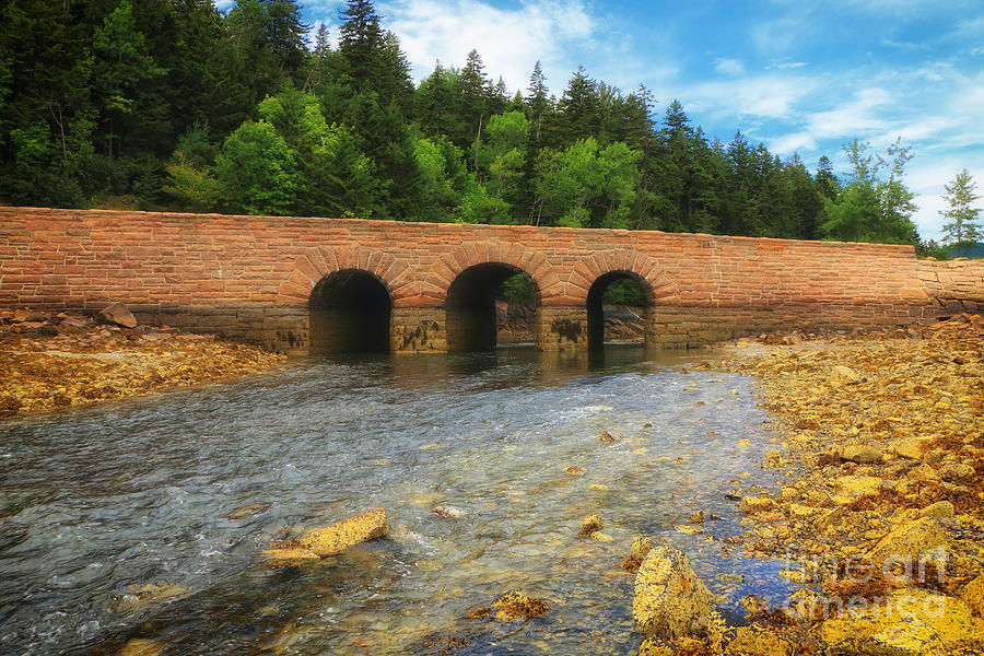 Otter Creek Bridge Acadia National Park Photograph by Elizabeth Dow ...