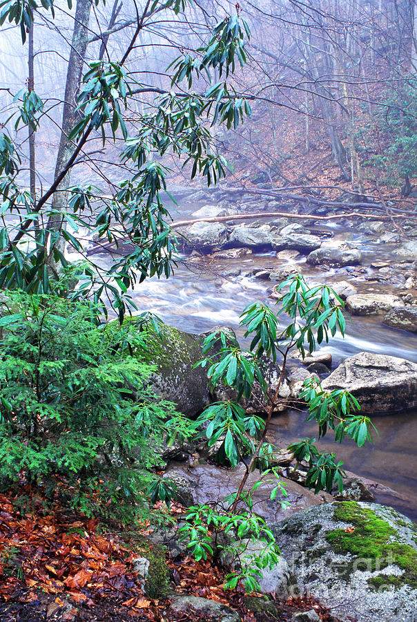 Otter Creek Wilderness Photograph by Thomas R Fletcher Fine Art America