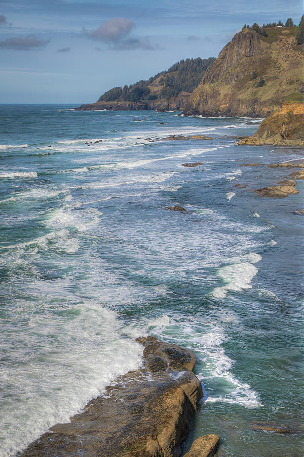 Nature Photograph - Otter Crest - Vertical 0769 by Kristina Rinell