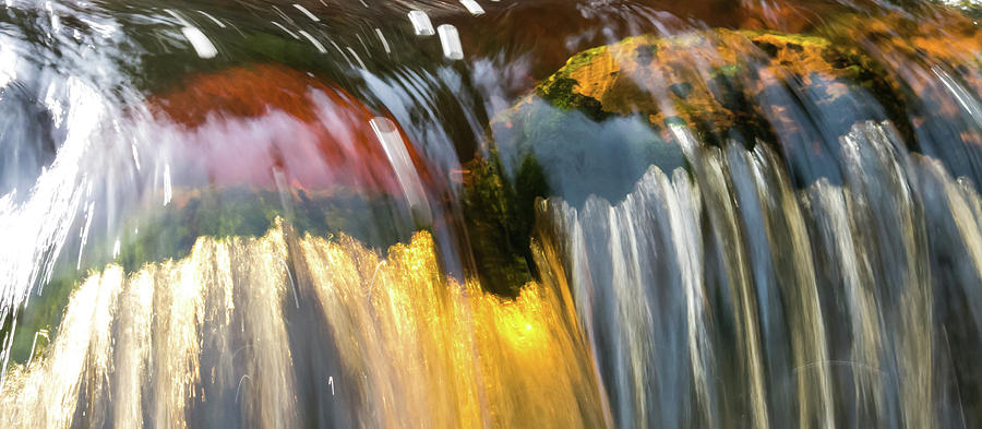 Water Photograph - Otter gold by Simon Sephton Water Photograph - Otter gold by Simon Sephton
