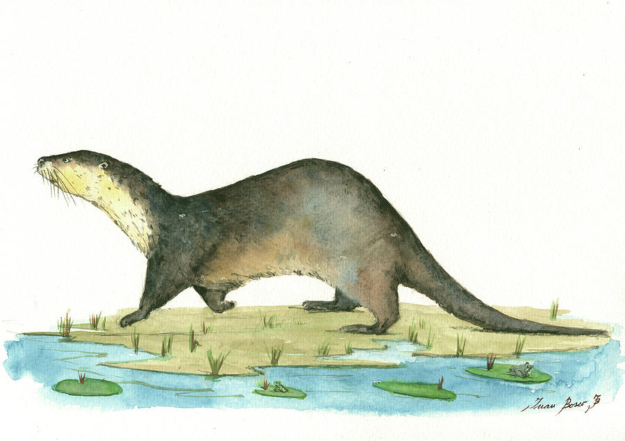 River Otter Painting - Otter by Juan Bosco