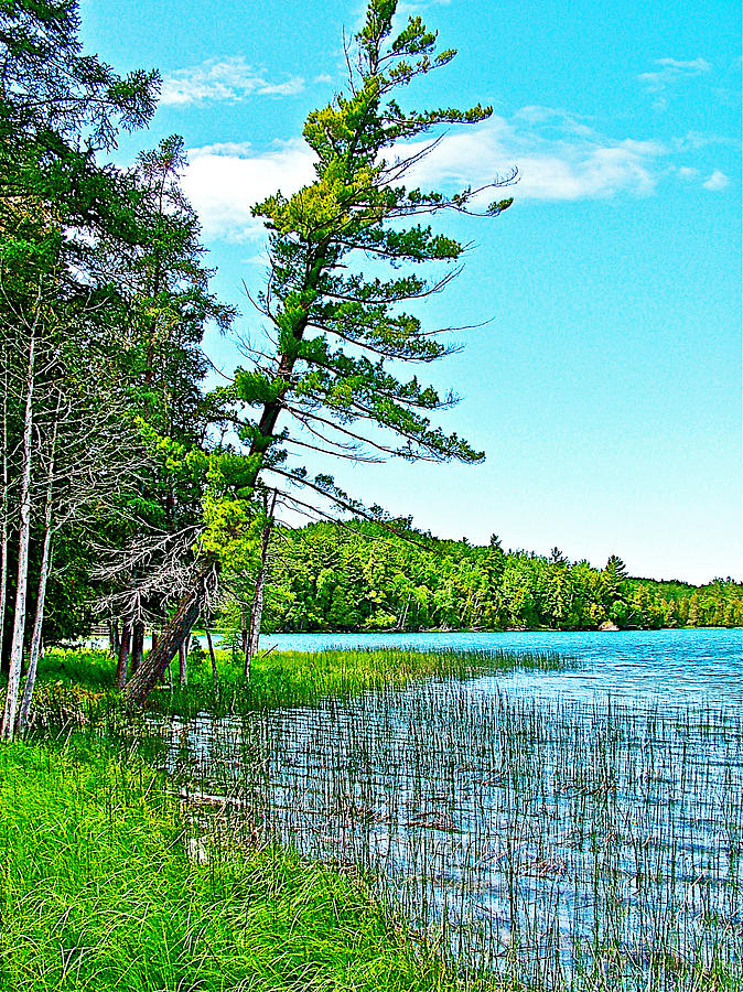 Otter Lake in Sleeping Bear Dunes National Lakeshore-Michigan Photograph by Ruth Hager