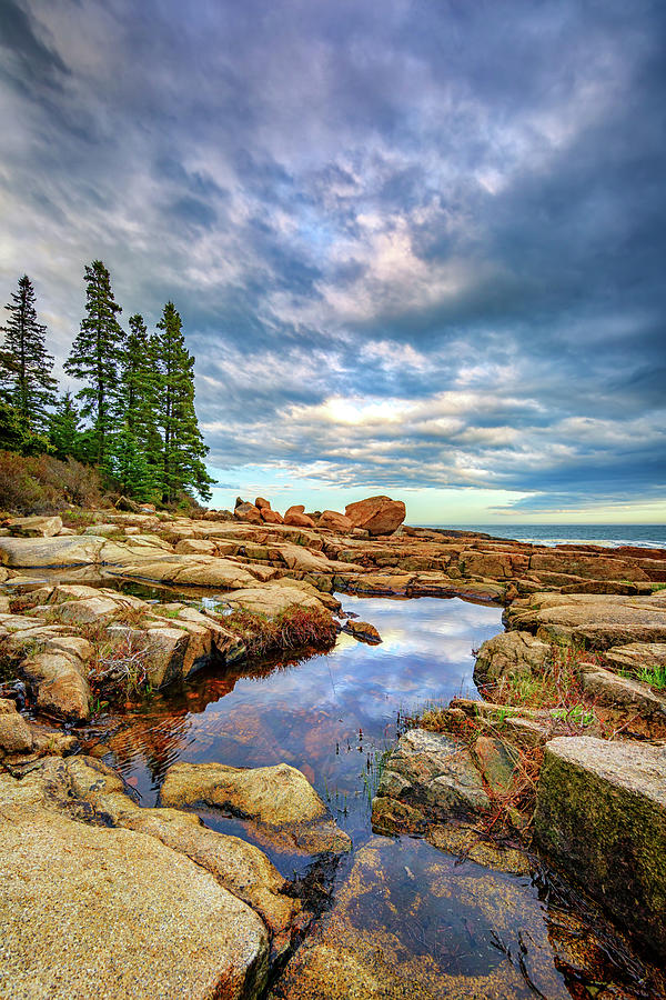 Acadia National Park Photograph - Otter Point Reflections by Rick Berk