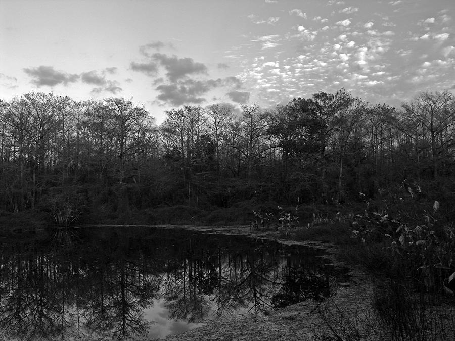 Otter Pond Photograph by Juergen Roth