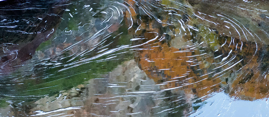 Water Photograph - Otter swirl by Simon Sephton Water Photograph - Otter swirl by Simon Sephton