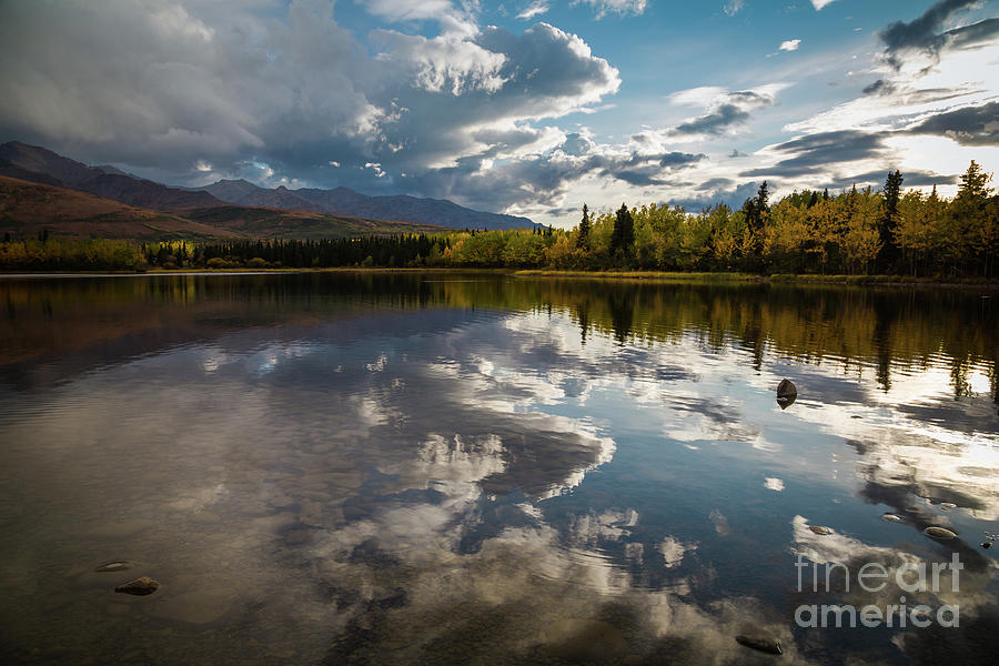 Healy Photograph - Otto Lake Reflections by Eva Lechner