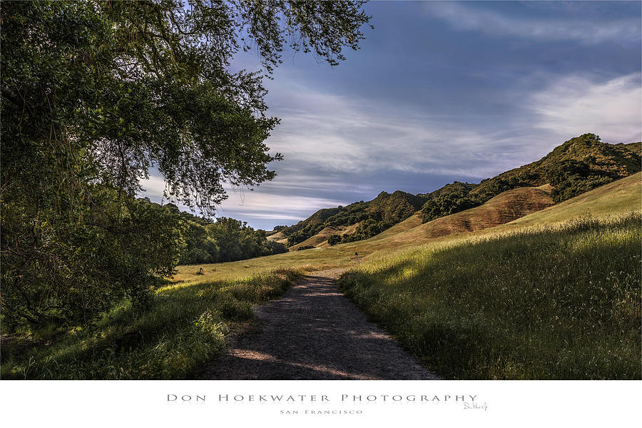 Our For a Walk Photograph by Don Hoekwater Photography