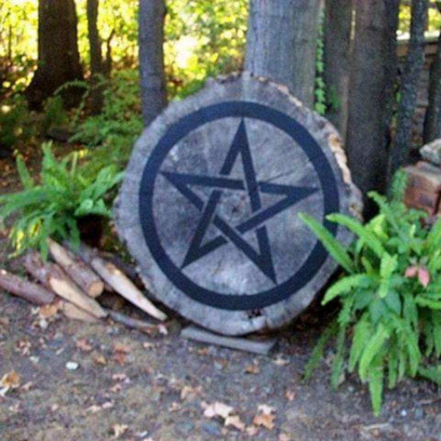 Our Giant Oak Tree Slice/pentacle In Photograph by Stephanie Piaquadio