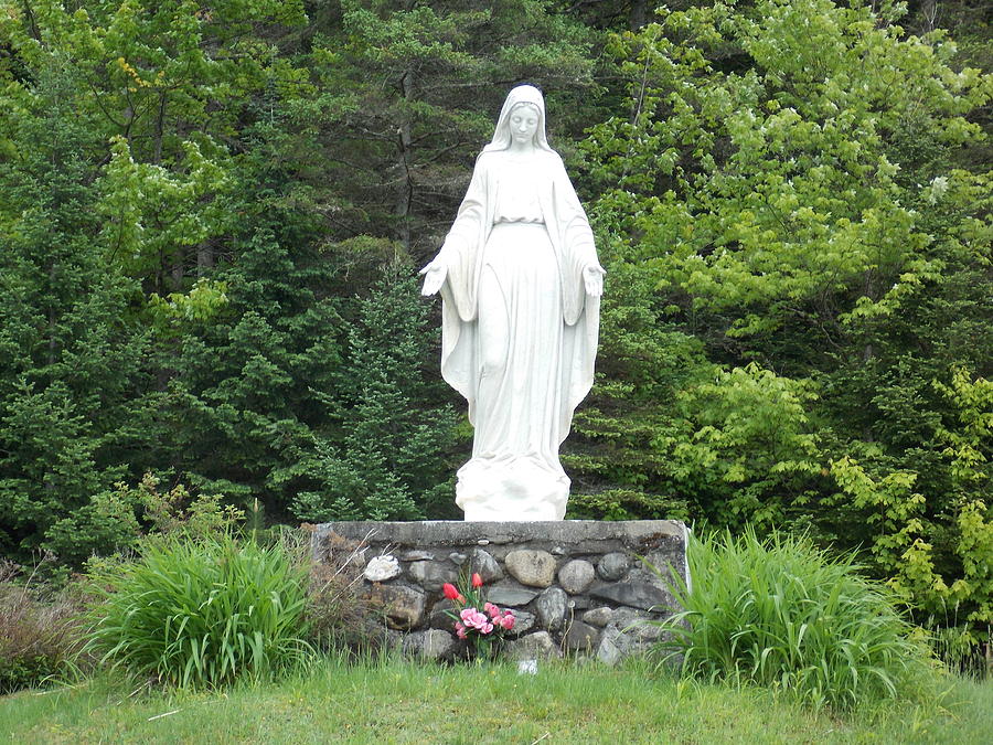 Tree Photograph - Our Lady of Grace by Catherine Gagne