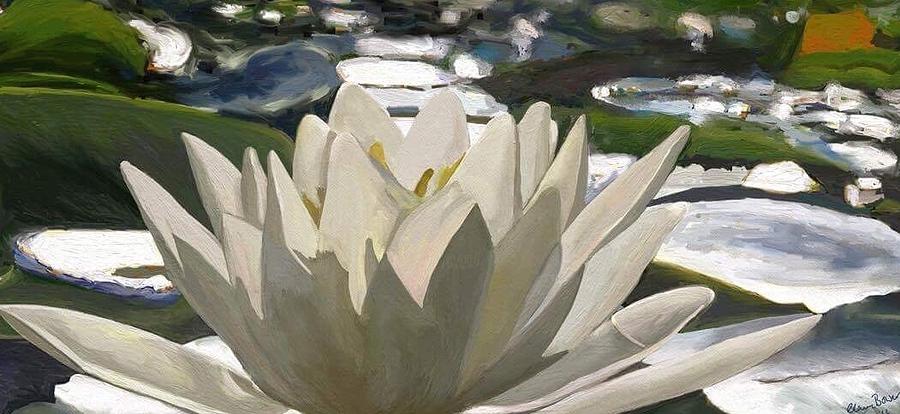 Water Lily Digital Art - Our Lily by Claire Bower