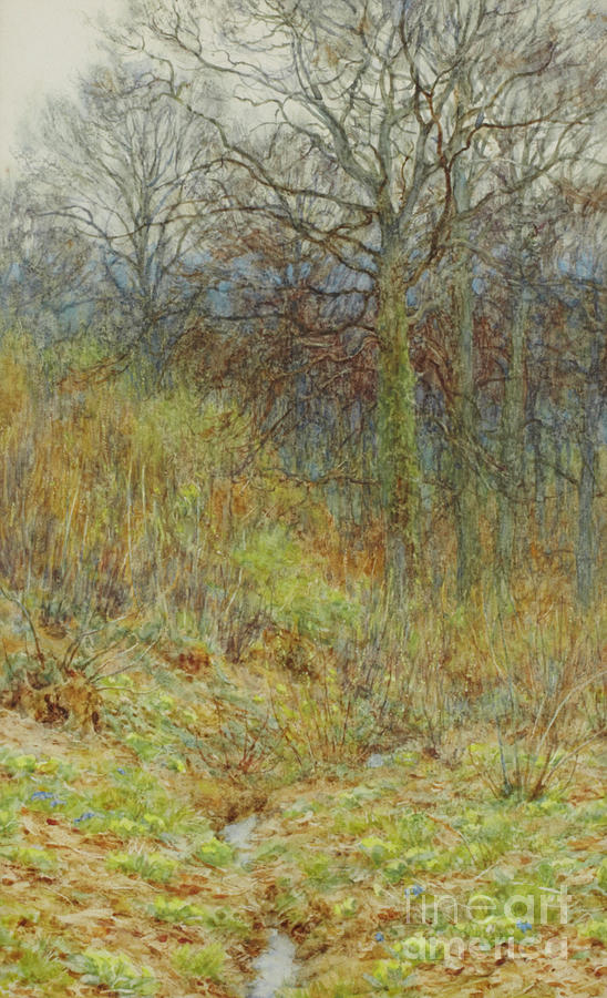 Our Primrose Wood, 1913  Painting by Helen Allingham