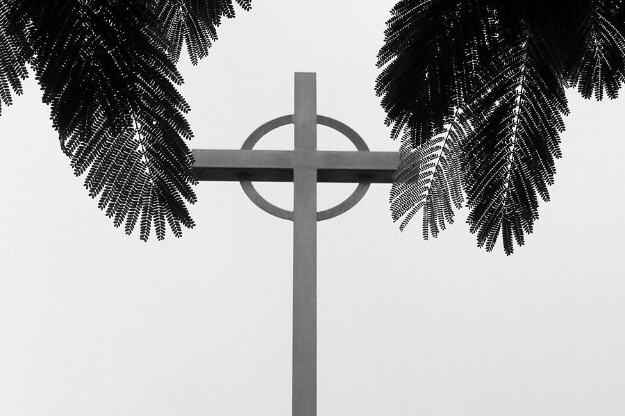 Our Savior Lutheran Church Osprey Florida Photograph by Robert Wilder Jr