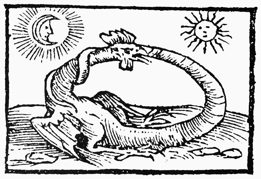 Dragon Photograph - Ouroboros, 1597 by Granger