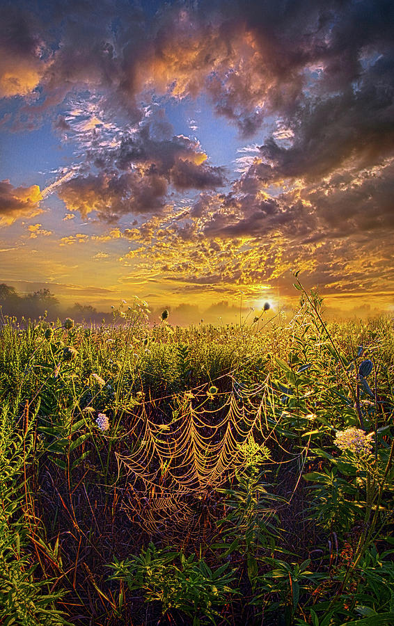 Out And About Photograph by Phil Koch