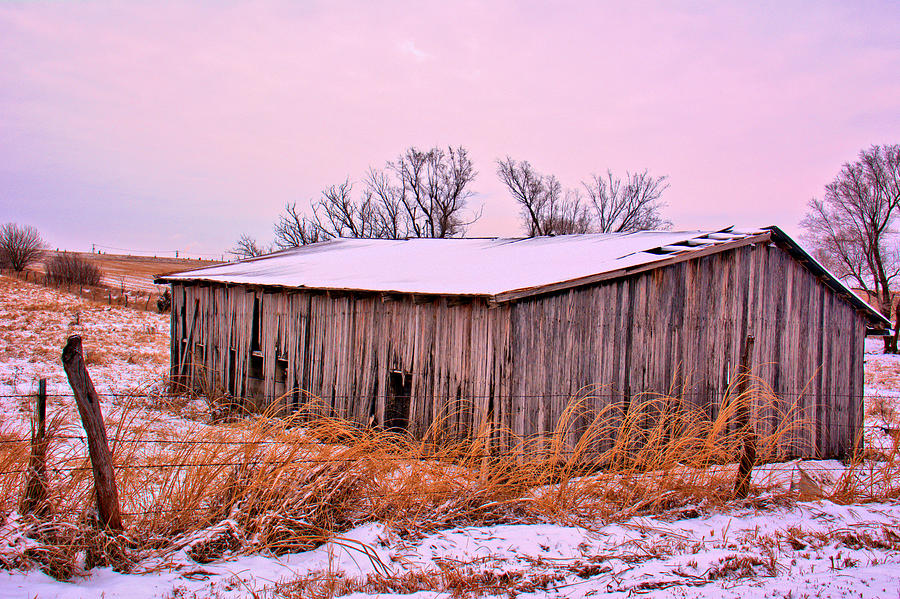 Out Behind the Woodshed 2 Photograph by Dan Brennan - Fine Art America