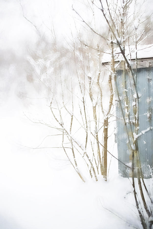 Winter Photograph - Out By The Barn by Kathy Jennings