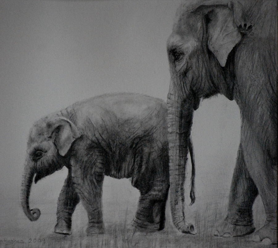 Out for a stroll Drawing by Lynn Hughes - Fine Art America