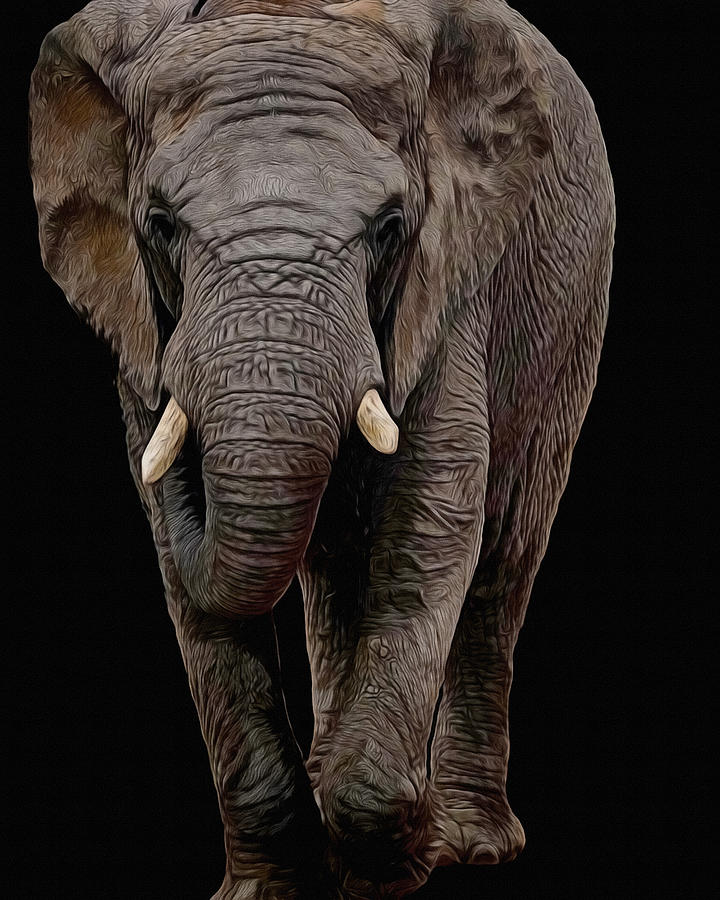 Elephant Digital Art - Out for a Walk by Ernest Echols