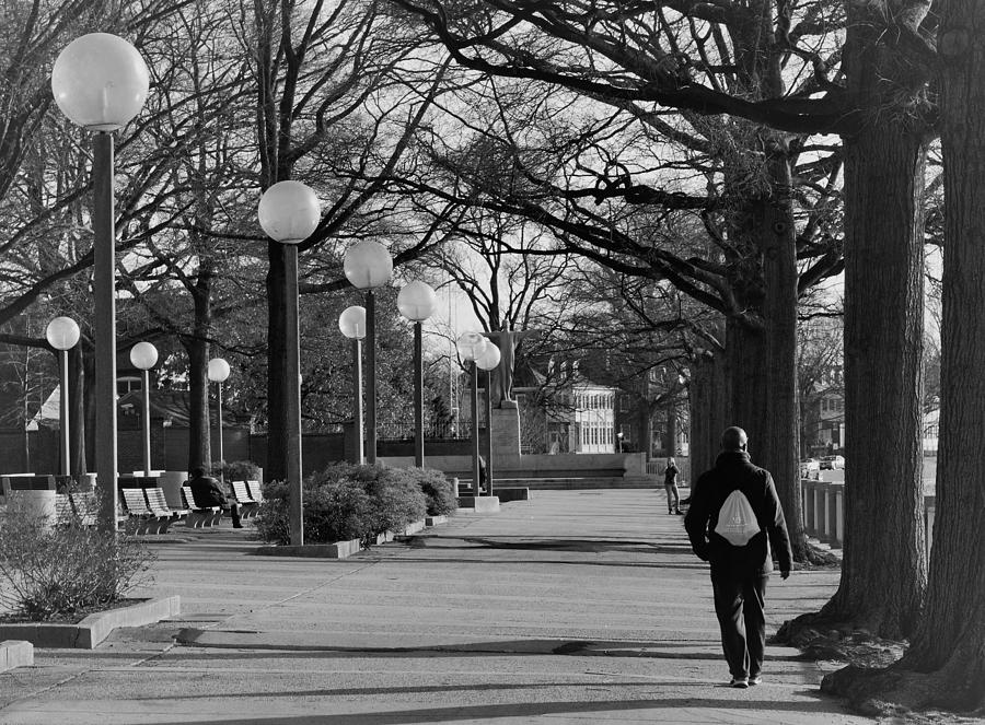 Out for a Walk in DC Photograph by Mark Mitchell Pixels
