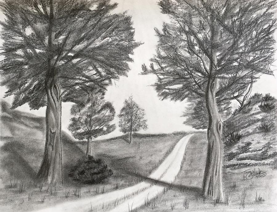 Out For A Walk Drawing