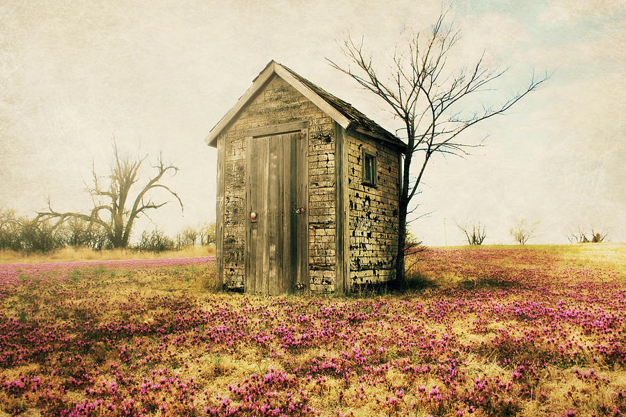 Outhouse Photograph by Julie Hamilton