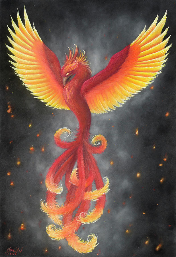 phoenix bird rising from the ashes drawing