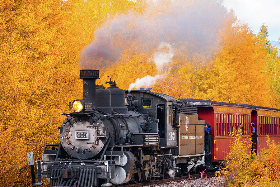 Out of the Aspen Train Photograph by Steven Bateson