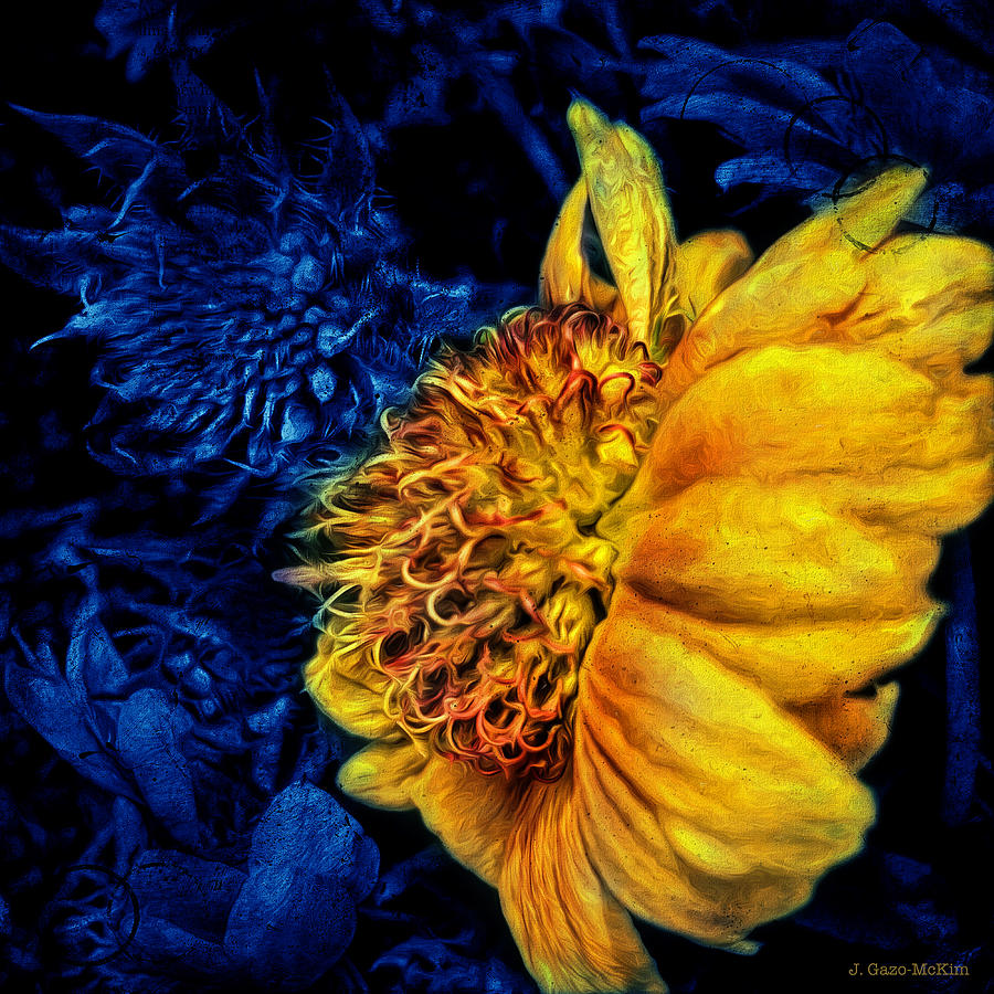 Flower Photograph - Out of the Blue by Jo-Anne Gazo-McKim