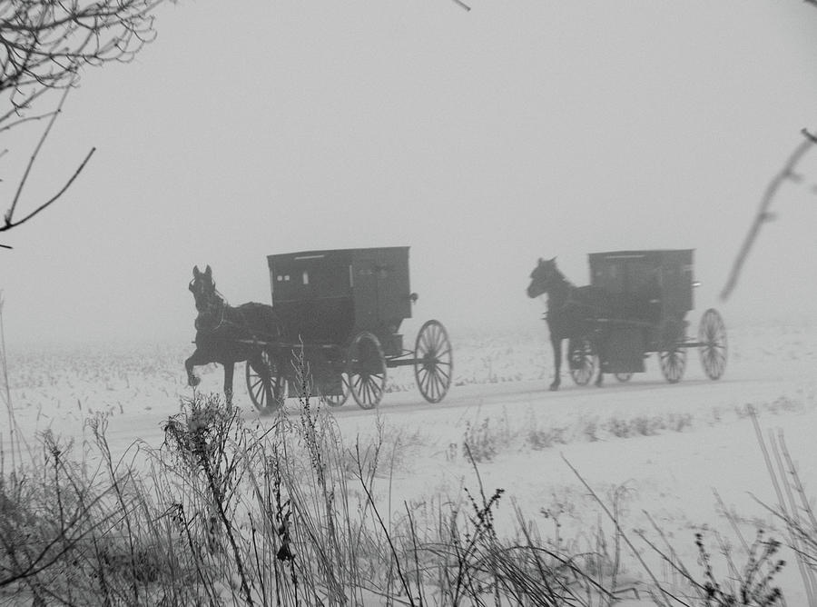 Winter Photograph - Out of the fog by David Arment