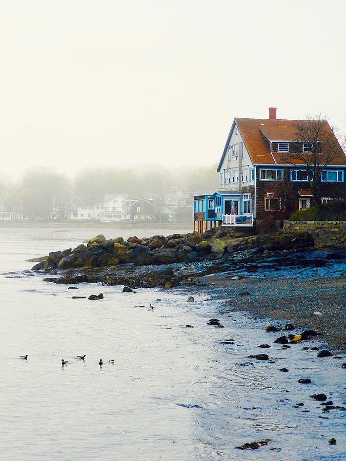 Out Of The Fog by My Lens and Eye - Judy Mullan - Out Of The Fog by My Lens and Eye - Judy Mullan -