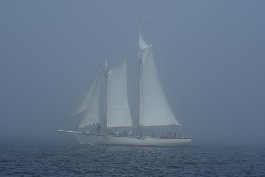 Out of the Mist Photograph by Lois Lepisto