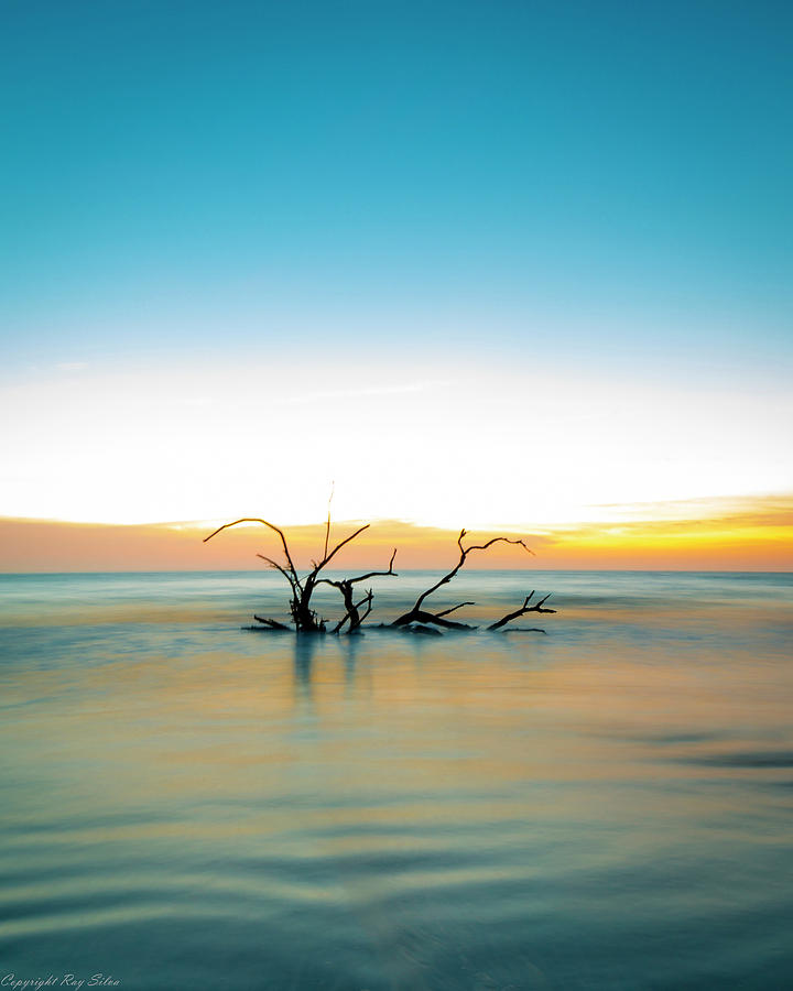 Out of the Ocean Photograph by Ray Silva - Fine Art America